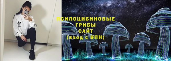 скорость Белокуриха