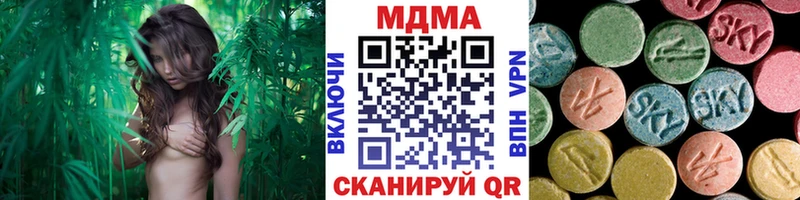 дарнет шоп  Бердск  МДМА молли 