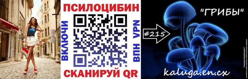 Галлюциногенные грибы MAGIC MUSHROOMS  где купить наркоту  Бердск 